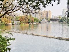 -荔湾湖公园
