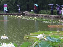 -国家植物园南园