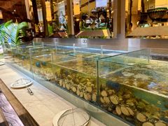 -盛宴标帜西餐厅龙虾.鲍鱼•牛排(重庆喜来登大酒店)