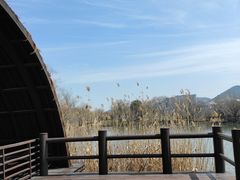 -长兴太湖图影湿地文化园