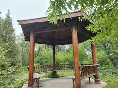 -莲花池公园