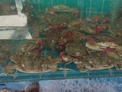 -锅老头铁锅炖•大锅蒸汽海鲜(韩乐坊店)