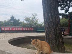-妙峰山风景名胜区