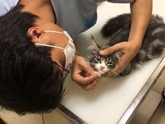 -爱妮康宠物医院·干细胞免疫细胞·肿瘤·心脏(张江店)