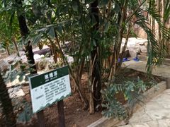 -龙达温泉生态城