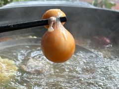 -创新土鸡火锅