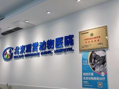 -北京观赏动物医院·24小时大型综合·猫专科·异宠专科