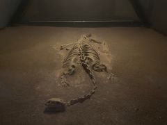 -世界恐龙谷景区