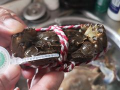-盒马鲜生(大成店)