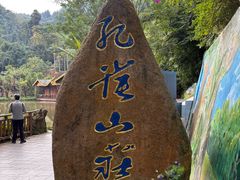 -西双版纳原始森林公园
