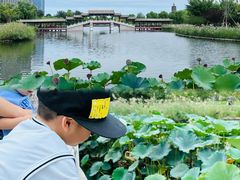 -西海子公园