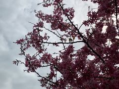 -福建鲤鱼洲酒店