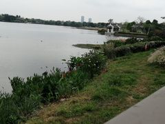 -海珠湖公园