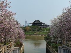 -海珠湖公园
