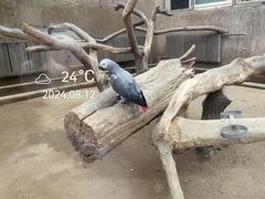 -大连森林动物园