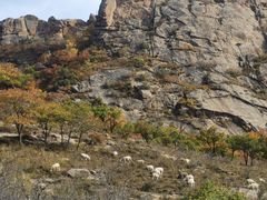 -克什克腾世界地质公园青山景区