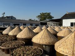 -苏州市吴中区光福窑上花果蜜饯厂