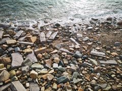 -海合安青岛极地海洋公园