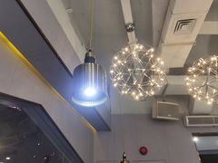 -探窝·竹笙椰子鸡(杨箕店)