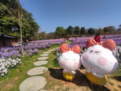 -天适樱花悠乐园