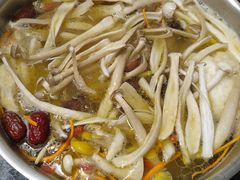 -菌极鲜野生菌火锅店(阳明祠店)