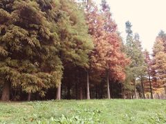 -贵阳市花溪国家城市湿地公园