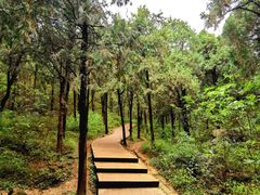 -北京西山国家森林公园