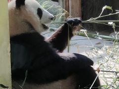 -杭州野生动物世界