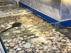 -川骄海鲜自助(河东店)
