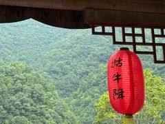 -石台牯牛降景区