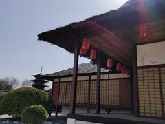 -北京世界公园