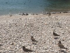 -海驴岛(荣成市)