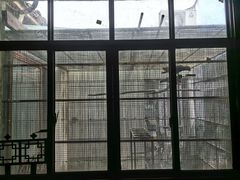 -观桥阁(锦溪店)