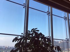 景观位-Seesaw Coffee(朝阳大悦城店)