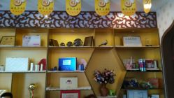 -归真美学颜究中心