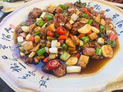 -青城甲(青城山店)