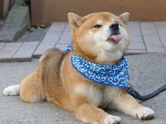 -无招牌海鲜餐厅(滨海艺术中心店)