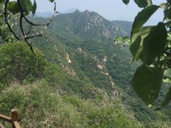 -大岭沟猕猴桃谷风景区