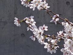 -龙美术馆(西岸馆)