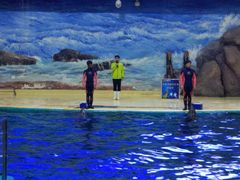 -福州罗源湾海洋世界旅游区