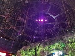 -广州长隆国际大马戏