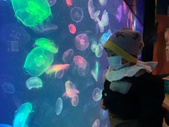 -烟台海昌鲸鲨海洋公园