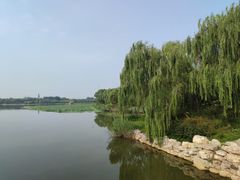 -大兴滨河森林公园