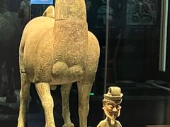 -广西壮族自治区博物馆