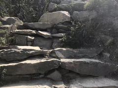 -北京鹫峰国家森林公园