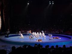 -珠海横琴长隆《卡卡虎奇遇记》