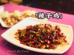 -陈麻婆豆腐总店