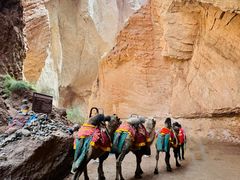 -天山神秘大峡谷