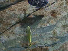 -苏州海洋馆