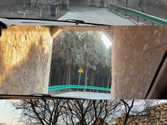 -原山国家森林公园